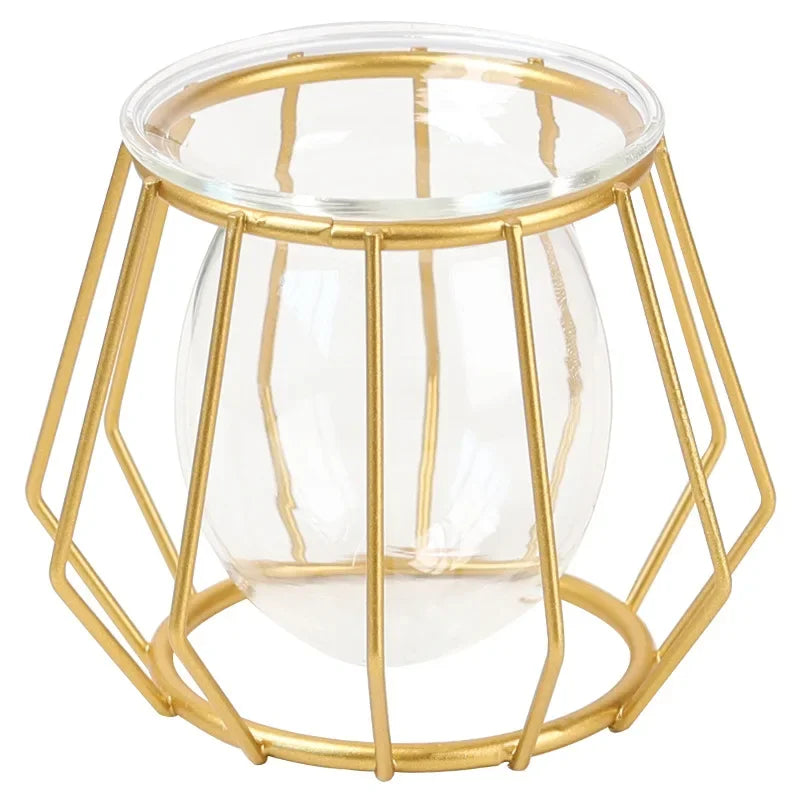 Nordic Golden Glass Vase Plant Stand Glass Container Geometric Home Decor Modern Metal Vase Hydroponic Plant Flowers Wire Vase