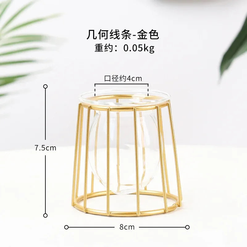 Nordic Golden Glass Vase Plant Stand Glass Container Geometric Home Decor Modern Metal Vase Hydroponic Plant Flowers Wire Vase